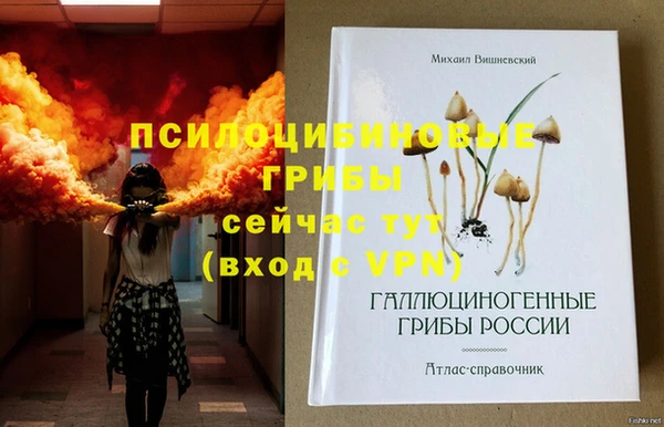 сатива Алексеевка